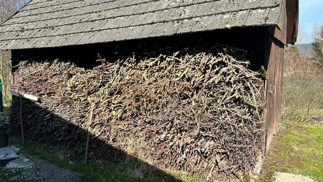 Drewno sezonowane ROZPAŁOWE OWOCOWE twarde 260zł/mp