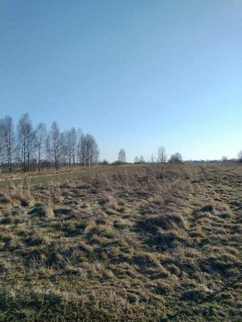 Działki rolne Koziegłowy woj. śląskie- sprzedam.