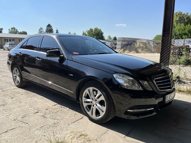 Wynajem busów krasnystaw i okolice