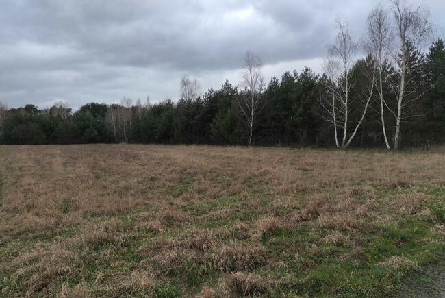 Działka na sprzedaż