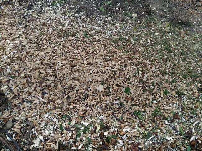 Rębak tarczowy Cyklon 130 masywna konstrukcja dostawa