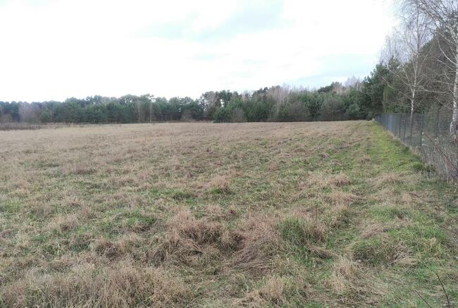 Działka na sprzedaż