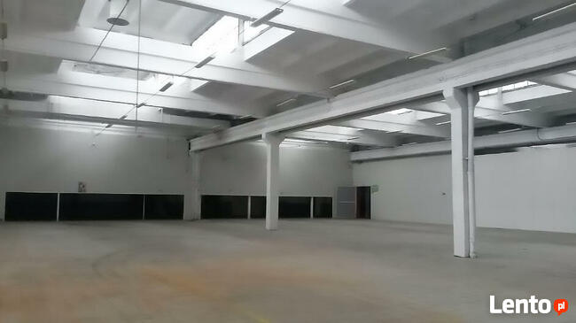 Wynajmę hala magazyn wysokiego składowania Starogard Gdański