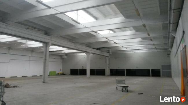 Wynajmę hala magazyn wysokiego składowania Starogard Gdański