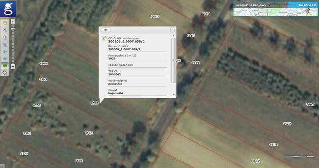 Działka rolna zakrzaczona