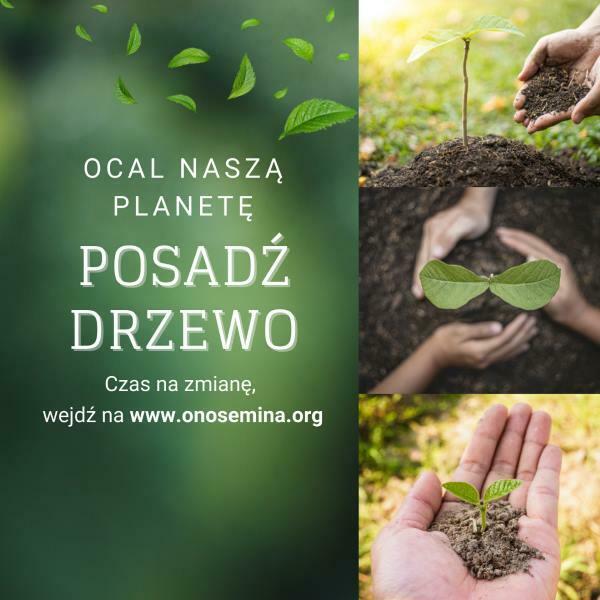 Sadzenie drzew z organizacją, która zrobi to za Ciebie