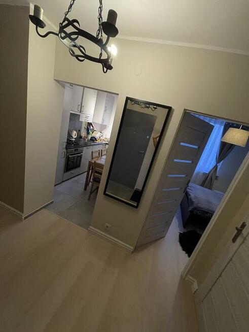 Szukam współlokatora/ki do mieszkania 2pokojowego na Pradze