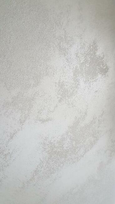 MALOWANIE MIESZKAŃ ,GARAŻY, ALTAN