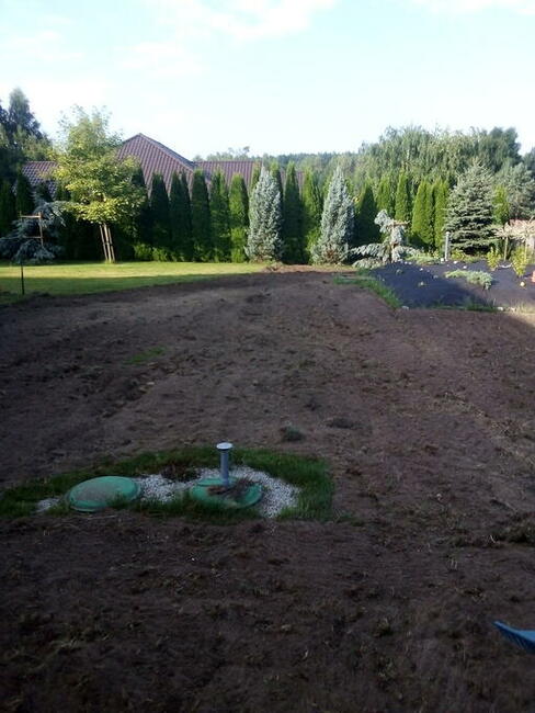 Wycinka drzew , rębakowanie, koszenie traw