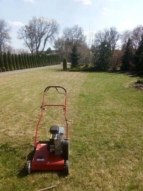 Wycinka drzew , rębakowanie, koszenie traw