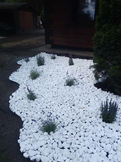 Wycinka drzew , rębakowanie, koszenie traw