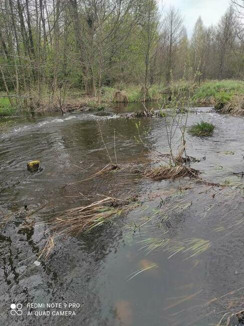 Działka rolna leśna Szczechowo okolice Sierpca