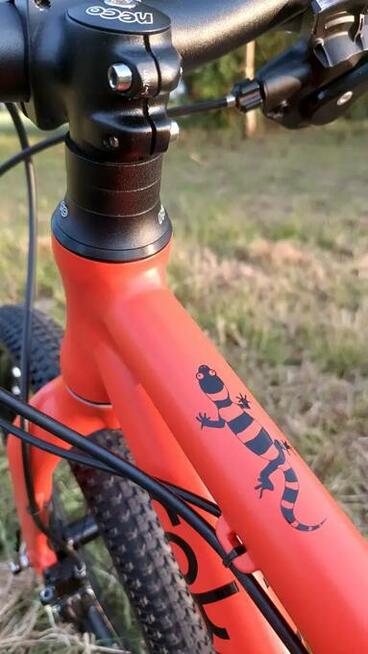 roko bike 20 cali