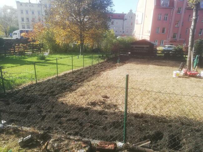 Usługi ogrodnicze - Wałbrzych, Świebodzice, Szczawno-Zdrój