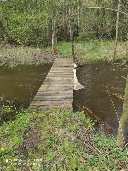 Działka rolna leśna Szczechowo okolice Sierpca