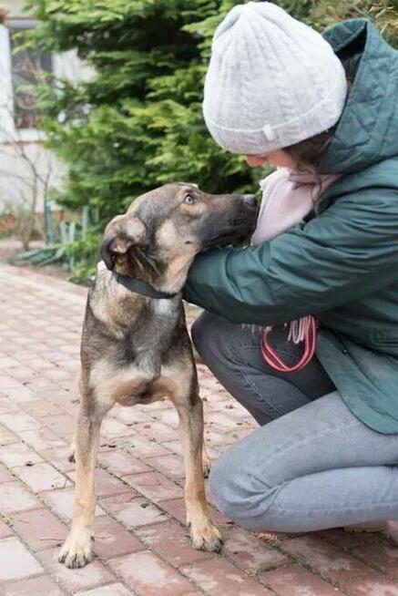 Młodziutki Teo - przyjazny i wesoły psiak do pokochania!