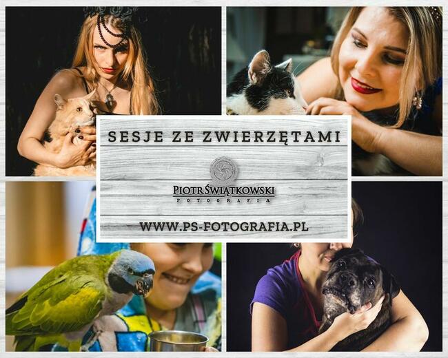 Sprawdzony i zaufany fotograf z Krakowa - fotografia, sesja