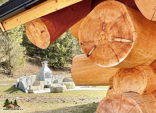 nowy, całoroczny i wyjątkowy dom w górach, z bali cedrowych.