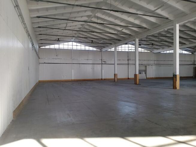 Hala Magazyn Bielsk Podlaski