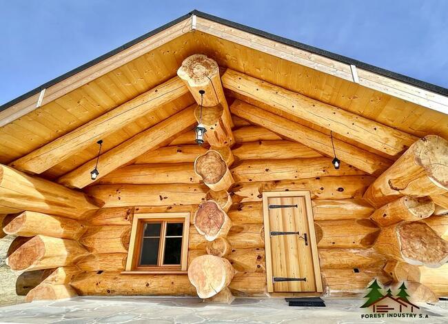 nowy, całoroczny i wyjątkowy dom w górach, z bali cedrowych.