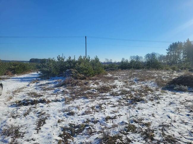 Działka w Serskim Lesie