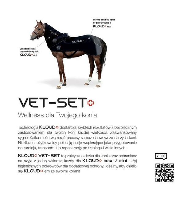 KLOUD VET SET BEMER EVO BIOMAG w 48h dostawa