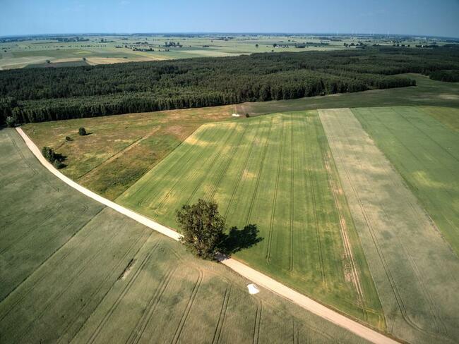 Działka budowlana Z POZWOLENIEM lub bez prąd /Aktualne