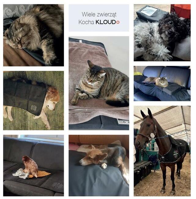 KLOUD VET SET ludzie zwierzęta 2w1 (pole elektromagnetyczne)