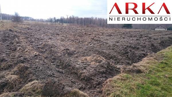 Działka budowlana Wodzisław Śląski