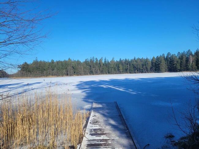 Działka w Serskim Lesie