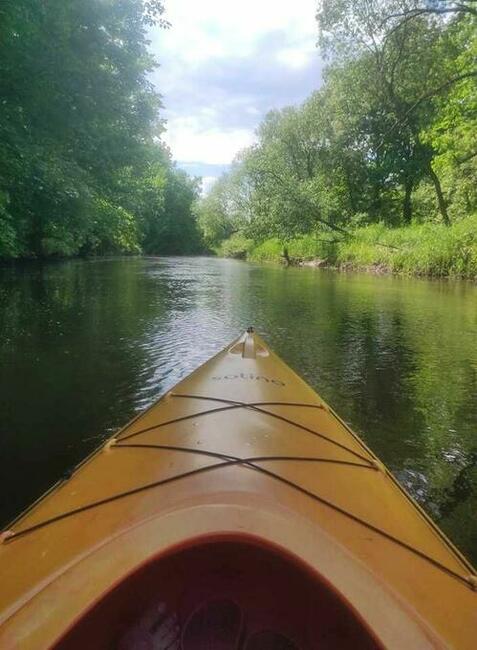 Spływy kajakowe - Tanew KAJAKI