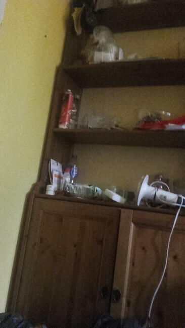 Wspollokatorkę na mieszkanie przyjmę kuchnia