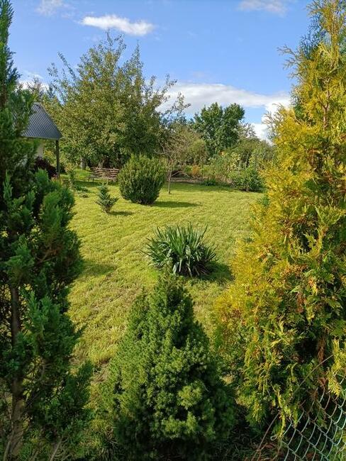 Koszenie trawy Wałbrzych i okolice, trawnik, kosiarka