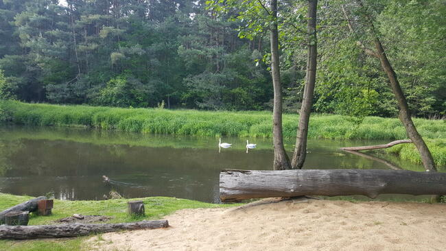 wynajemkajakow.pl - wypożyczalnia kajaków l Spływy kajakowe