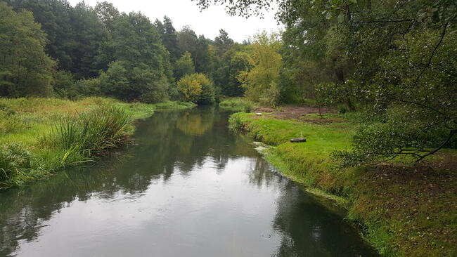 wynajemkajakow.pl - wypożyczalnia kajaków l Spływy kajakowe