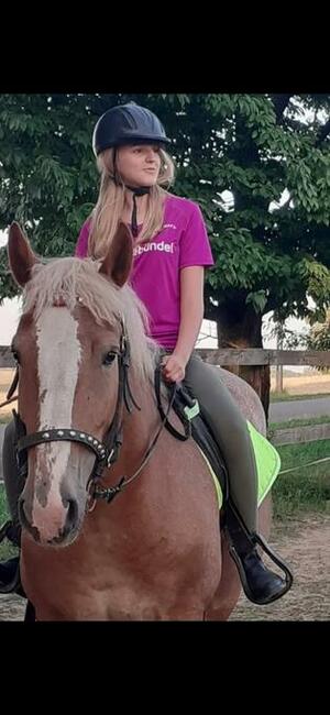 Sprzedam klacz sokólską ze źrebakiem