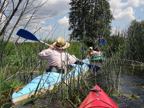 wynajemkajakow.pl - wypożyczalnia kajaków l Spływy kajakowe