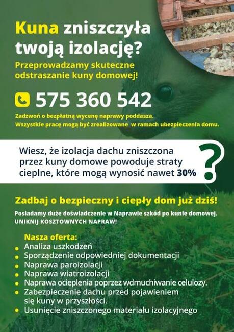 Naprawa izolacji poddasza kuna na dachu