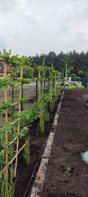 LAGO OGRODY ZAKOPANE Budowa i pielegnacja