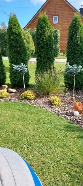 Usługi Minikoparką I Ogrodnicze