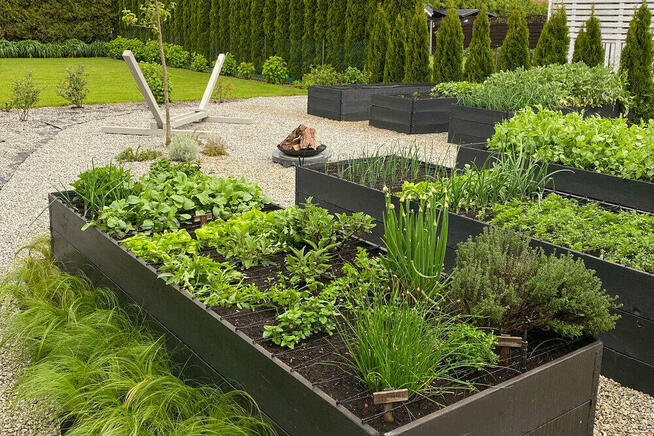 LAGO OGRODY ZAKOPANE Budowa i pielegnacja