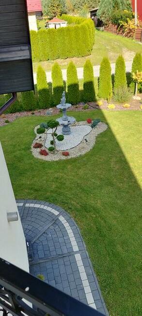 Usługi Minikoparką I Ogrodnicze