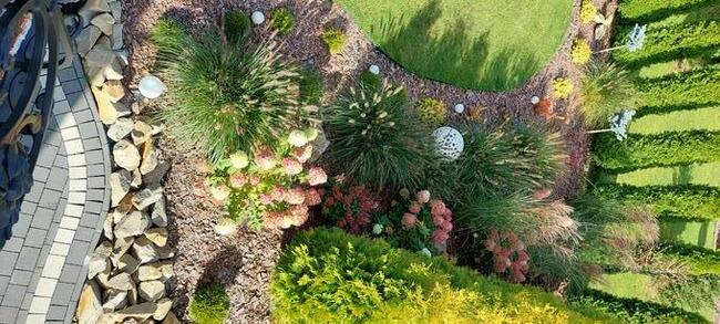 Usługi Minikoparką I Ogrodnicze