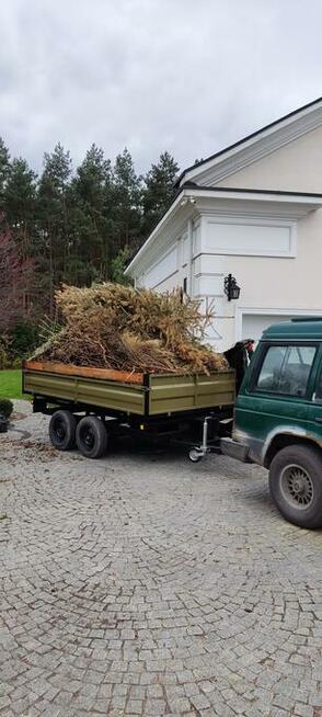 LAGO OGRODY ZAKOPANE Budowa i pielegnacja