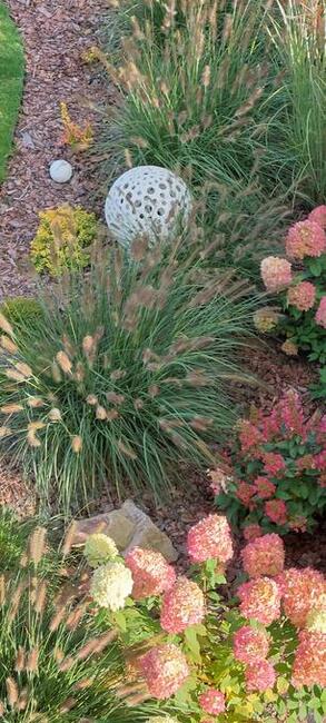 Usługi Minikoparką I Ogrodnicze