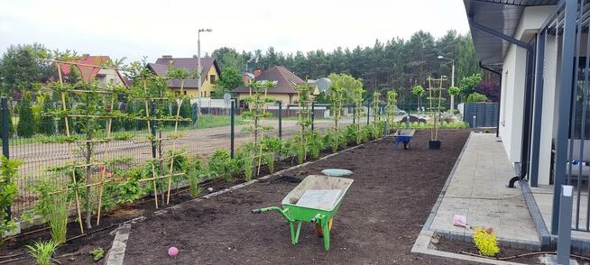 LAGO OGRODY ZAKOPANE Budowa i pielegnacja