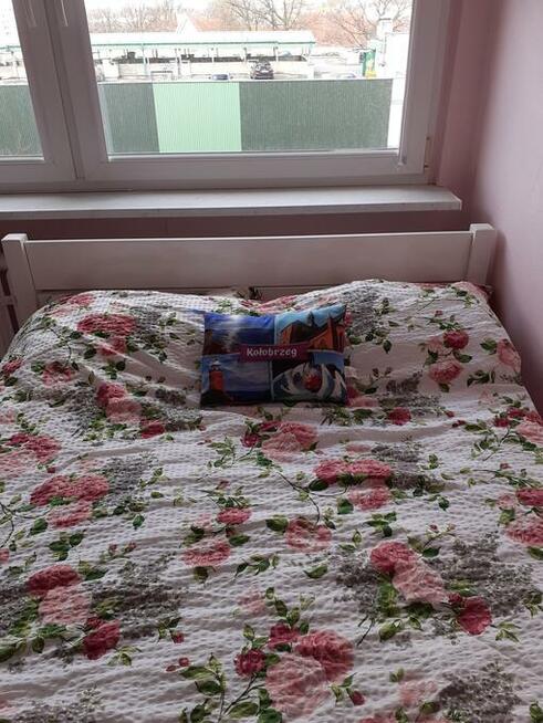 Kołobrzeg noclegi kwatera apartament wakacje centrum wynajem