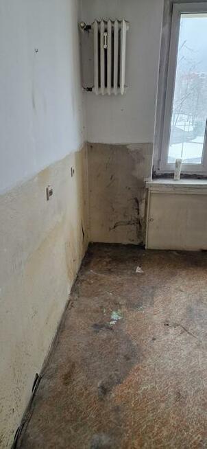 Wywóz mebli Bielsko-B.Sprzątanie mieszkań, domów,piwnic.