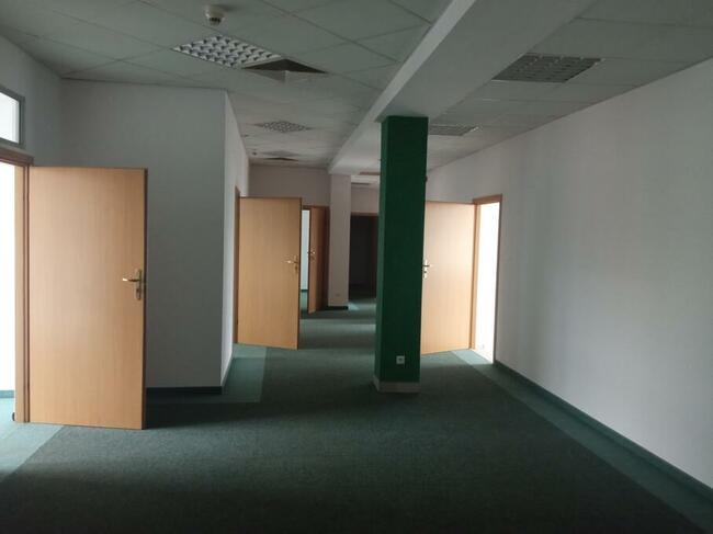 lokale do wynajęcia, centrum, Traugutta