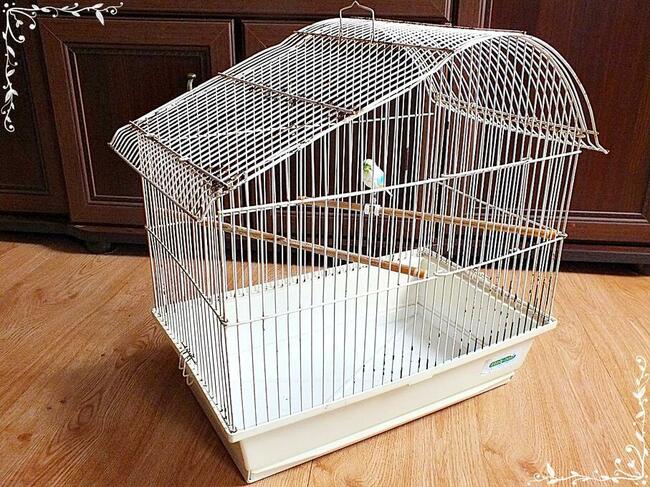 Biała klatka dla ptaków, kanarki, zeberki 46x49x30cm